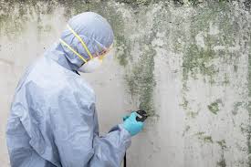  , USA Mold Removal & Remediation Pros